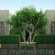 10 Fruitless Olive - 3DOcean Item for Sale