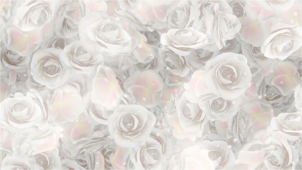 Wedding Background Motion Graphics From Videohive