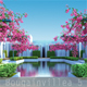 Bougainvillea 5 - 3DOcean Item for Sale