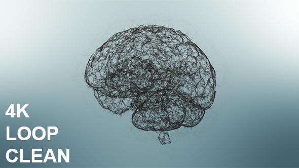 Clean Plexus Brain 4K