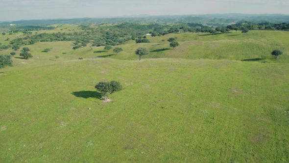 Aerial View Green Rural Landscape