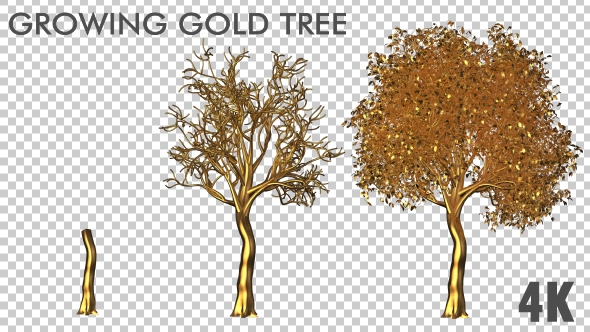 Growing Golden Tree 4K