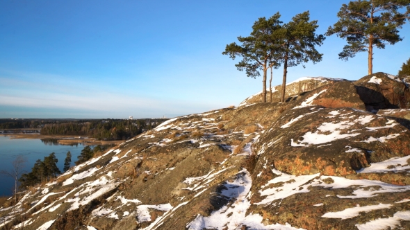 Scandinavian Landscape. Several Lonely Pines on Rock Over the Baltic Sea