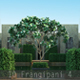 10 Frangipani 4 - 3DOcean Item for Sale