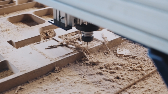 Industrial Wood Cut Machine at Work