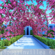 Bougainvillea 6 - 3DOcean Item for Sale