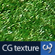 Grass Texture I - 3DOcean Item for Sale