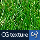 Grass Texture II - 3DOcean Item for Sale
