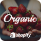 Organic - Drag & Drop Multilingual Responsive Shopify Theme - ThemeForest Item for Sale