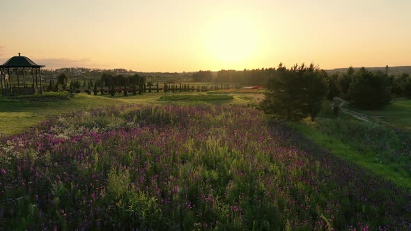 Scenic Landscape of Beautiful Summer Park Dobropark at Sunrise Motyzhyn Ukraine