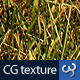Grass Texture III - 3DOcean Item for Sale