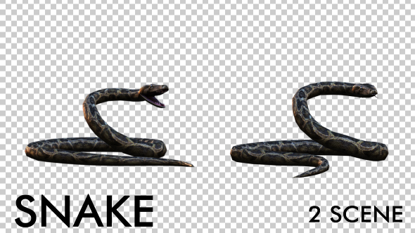 Realistic 3D Snake - 2 Scene