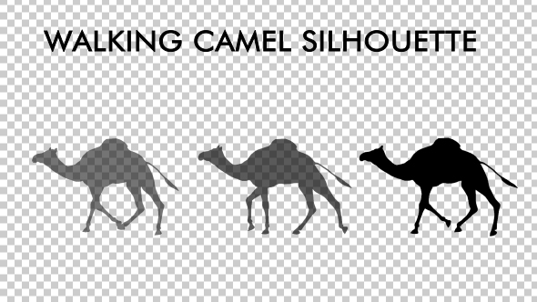 Walking Camel Silhouette alt