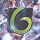 Particles Blast Logo - VideoHive Item for Sale