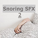 Snoring SFX 2