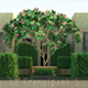 10 Frangipani 5 - 3DOcean Item for Sale