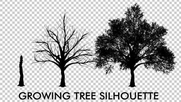 Growing Tree Silhouette alt