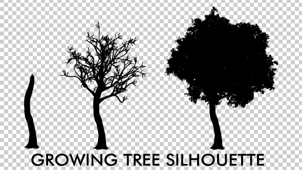 Growing Tree Silhouette Animation alt