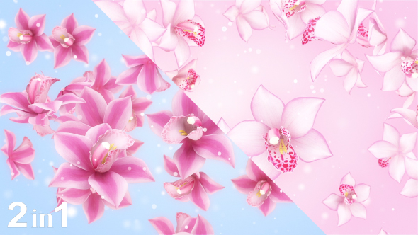 Flowers Falling (2-Pack) alt