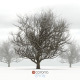 Oak tree with snow - 3DOcean Item for Sale