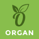 Organ - Organic Store & Flower Shop WooCommerce Theme - ThemeForest Item for Sale