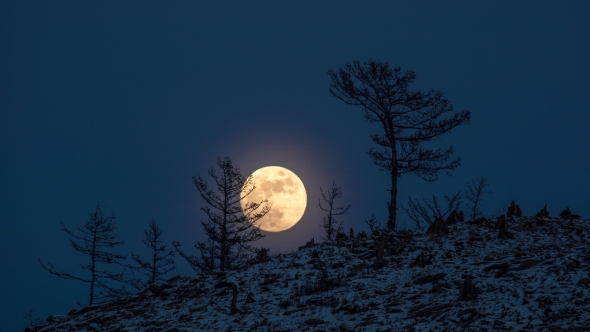 Night  Large Full Bright Moon Rises From Above Hill Into Sky.