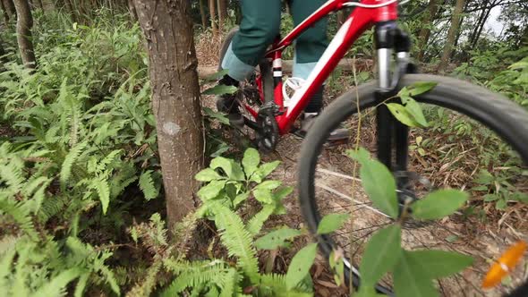 Mountain biker cycling on forest trail, slow motion