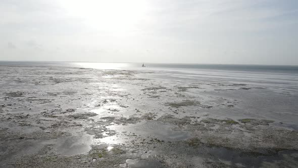 Low Tide in the Ocean Near the Coast of Zanzibar Island Tanzania