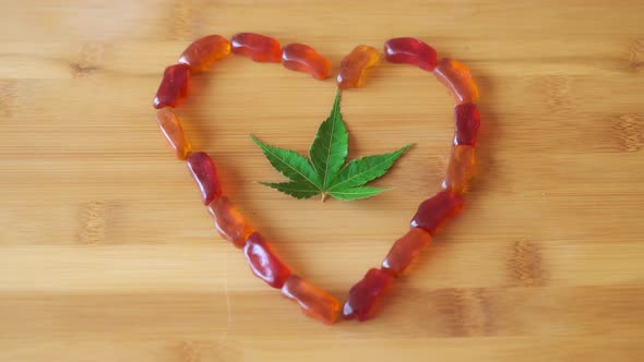 CBD Gummy Picked From Heart of Edible Candies, Marijuana Leaf in Center