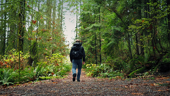Man With Backpack Walks On Forest Path