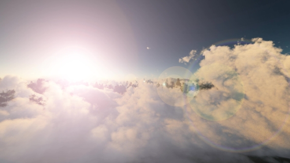 Rocks and Forest in Cloud Fog