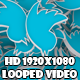 Rain Twitter Bird Transition 2 - VideoHive Item for Sale