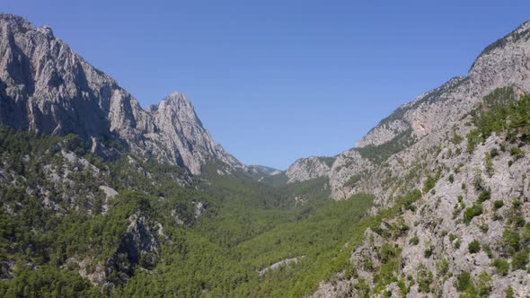 High Mountains and Green Forests Under Blue Sky on a Summer Day