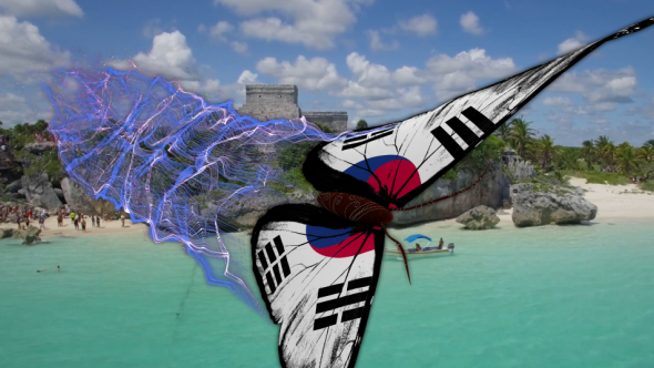 Korea South Flag Butterfly Gorgeous Particle Light Trailing Flying Transtion V2 alt