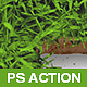 Spring Grass - Photoshop Action - GraphicRiver Item for Sale