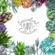 Succulent Plants Collection - GraphicRiver Item for Sale