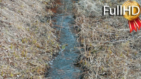 Small River in Ravine, Early Spring