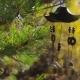 Wind Chimes Swaying in the Wind at Autumn Garden - VideoHive Item for Sale