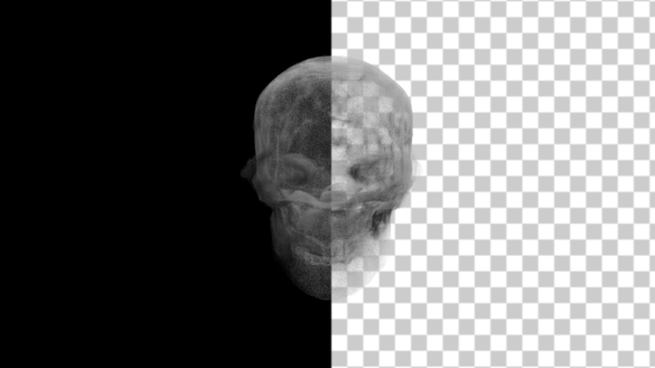 Animation Head Ghost Skull Smoke