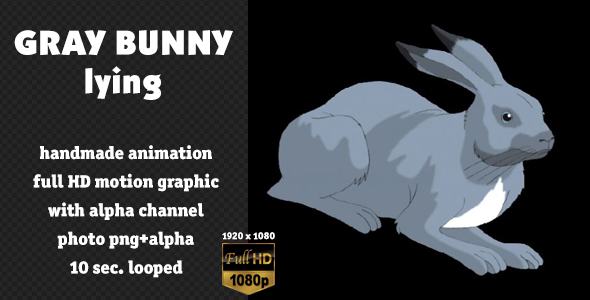 Gray Bunny Lying alt