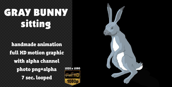 Gray Bunny Sitting alt