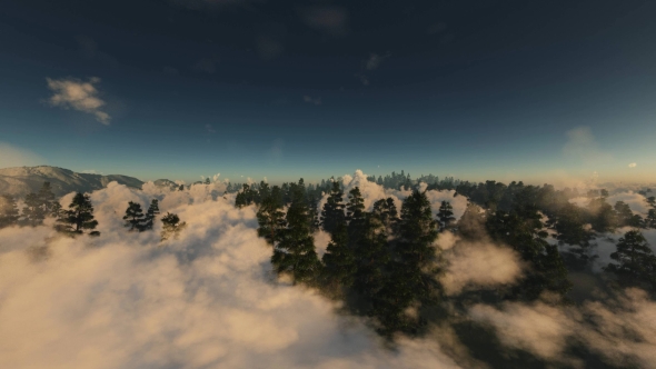 Rocks and Forest in Cloud Fog