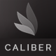 Responsive WordPress Theme - Caliber - ThemeForest Item for Sale