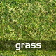 Grass Texture 1 - 3DOcean Item for Sale