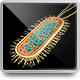 3D Model of Bacterial Cell Structure - 3DOcean Item for Sale