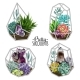 Succulents and Crystals - GraphicRiver Item for Sale