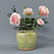Rose Flower Pot - 3DOcean Item for Sale
