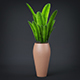 Potted Banana Leaves - 3DOcean Item for Sale