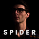 Spider - Super Professional Personal Portfolio Template - ThemeForest Item for Sale