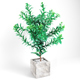 Plant tree 03 - 3DOcean Item for Sale